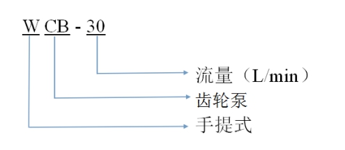 齿轮泵型号示意图