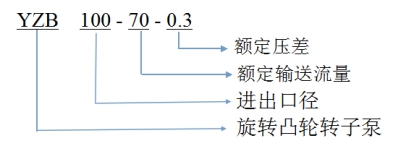 转子泵型号意义