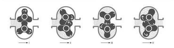转子泵原理.jpg